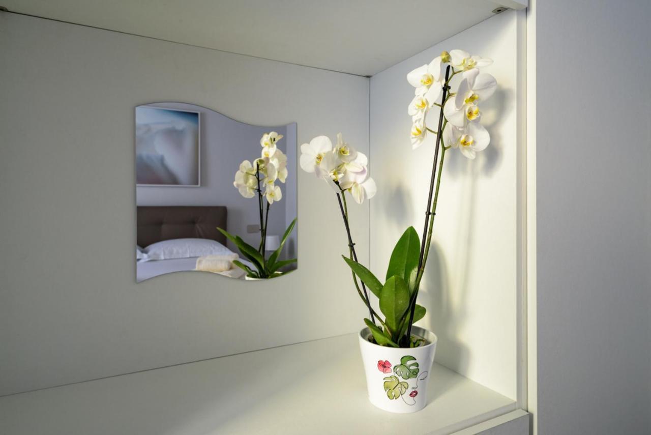 Pisa Art Apartment Экстерьер фото